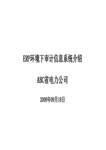 ERP环境下的电力公司审计信息系统_V1 0