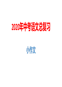 2020年中考语文总复习：小作文