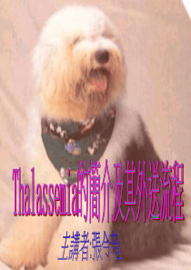 Thalassemia的简介及其外送流程