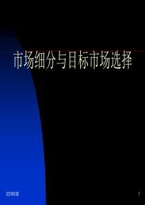 市场细分和目标市场的选择