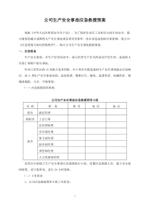 公司生产安全事故应急救援预案