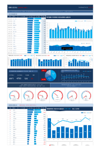 薪酬分析报告Pro2.0(仪表盘模式)