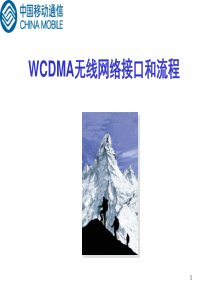 WA000105WCDMA无线网络接口和流程