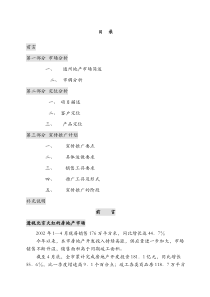 房地产房地产经纪公司项目策划报告