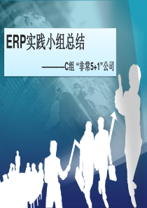 ERP总结PPT