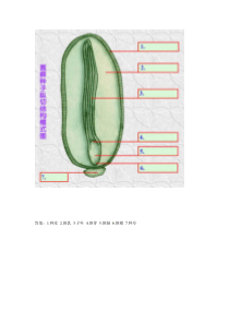 植物学填图题库