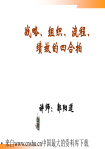 [战略管理]战略、组织、流程、绩效的四合拍(ppt 72页)(1)