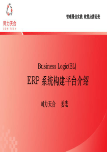 BusinessLogic-ERP系统构建平台介绍--基本信息