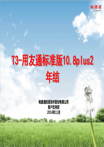 《T3年结流程及运维技巧》