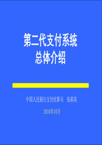 二代支付系统--总体1013