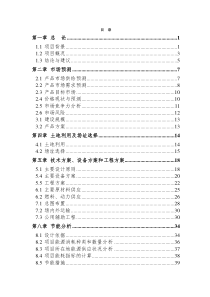 5.10铸造可研报告fs