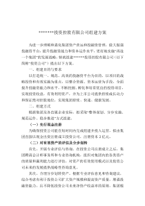 投资公司组建方案