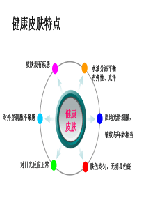 皮肤分类及保养PPT课件