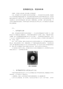 宫颈癌文献简述