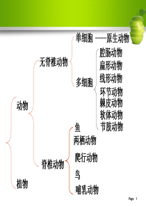 七上-浙教版-第五节-常见的植物