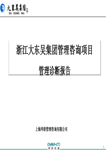 浙江大东吴集团 管理咨询项目管理诊断报告 63页