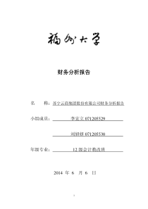 28苏宁云商集团股份有限公司财务分析报告