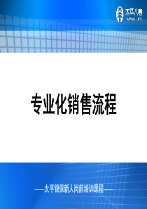 专业化销售流程（PPT32页)