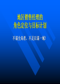 方正角色定位与目标计划(PPT 51)