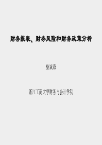 财务报表、财务风险和财务政策分析