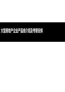 2017大型地产公司产品线梳理及考察方案