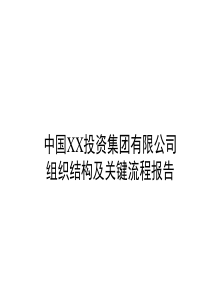 中国XX投资集团有限公司组织结构及关键流程报告(ppt 76)