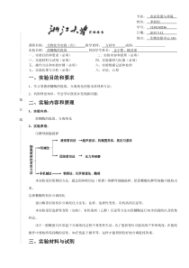 浙江大学生物化学丙实验报告1