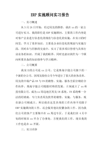 ERP实施顾问实习报告