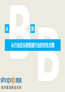 绿色环保材料行业电子商务平台规划方案