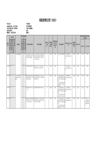 风险控制文档