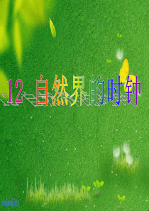 鄂教版12自然界的时钟