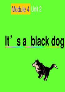 its_a_black_dog三年级