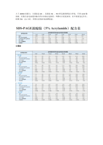 大分子蛋白-western-blot