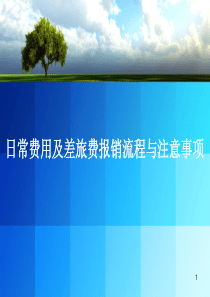 费用报销及流程PPT幻灯片