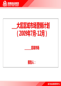 著名食品集团区域市场营销计划