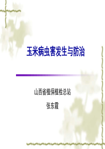 玉米田主要虫害识别及防治技术