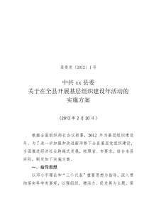 关于在全县开展基层组织建设年活动的实施方案