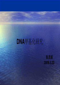 DNA甲基化检测