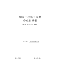 碧桂园天玺项目钢筋工程施工方案作业指导书29P