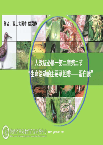 人教版必修一第二章第二节“生命活动的主要承担者――蛋白质”教学课件_生物_教学课件_人教版