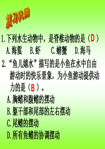 新人教版第五单元第一章第五节 两栖动物和爬行动物