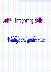 高三英语unit4 integrating skills