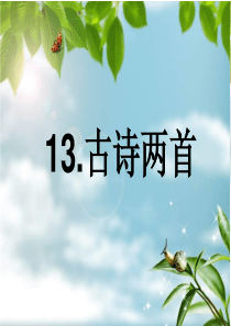 13古诗两首《所见》课件