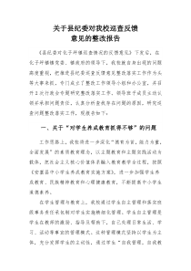 关于县纪委对我校巡查反馈意见的整改报告