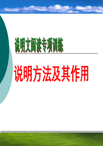 说明文阅读专项训练——说明方法及其作用