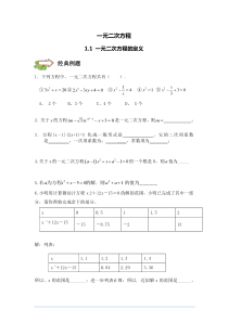 北师大版九年级上册数学一元二次方程-专题复习巩固