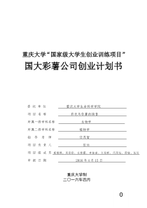 创业计划书pdf