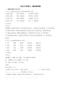 2020中考语文一模试卷(解析版)