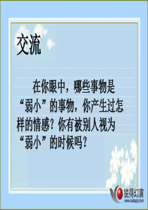 10《妈妈_我不是最弱小的》课件(沪教版三年级语文下册课件)