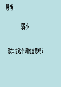 14_我不是最弱小的课件1